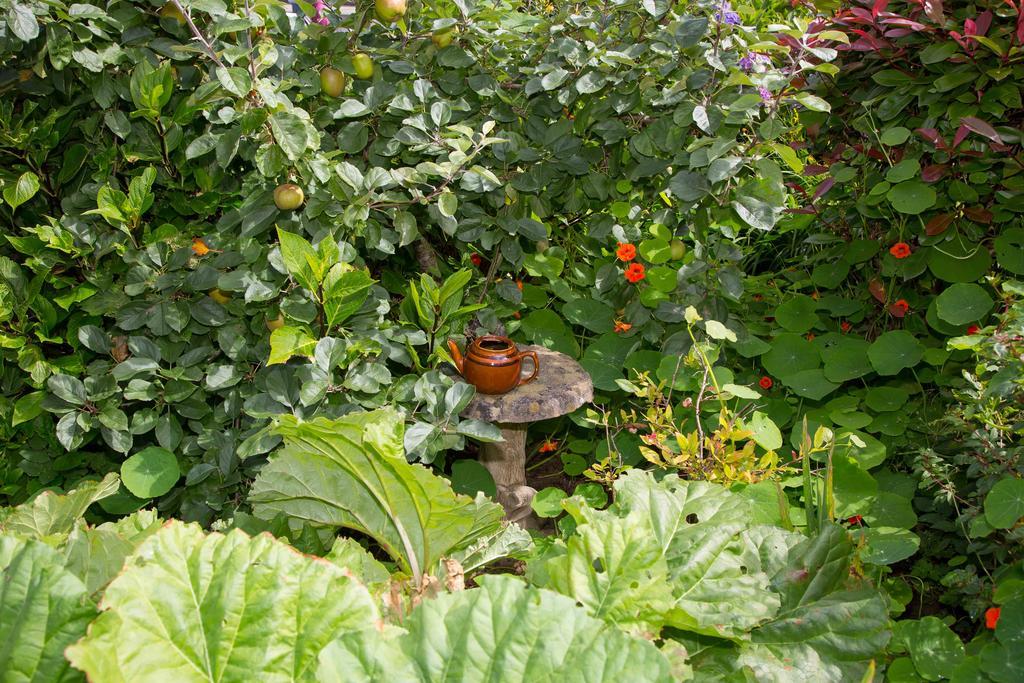 Doireliath Bed & Breakfast Bantry Eksteriør bilde